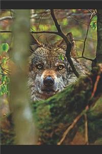 Wolf Lovers Journal