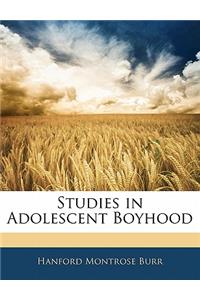 Studies in Adolescent Boyhood
