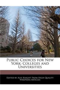Public Choices for New York