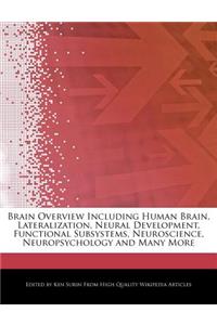 Brain Overview Including Human Brain, Lateralization, Neural Development, Functional Subsystems, Neuroscience, Neuropsychology and Many More