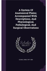 A System Of Anatomical Plates; Accompanied With Descriptions, And Physiological, Pathological, And Surgical Observations