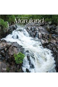 Maryland Wild & Scenic 2019 Square