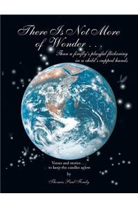 There Is Not More of Wonder