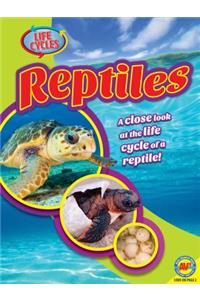 Reptiles