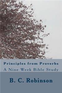 Principles from Proverbs