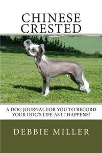 Chinese Crested