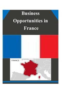 Business Opportunities in France