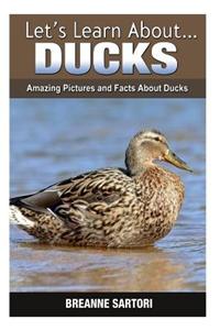 Ducks: Amazing Pictures and Facts about Ducks