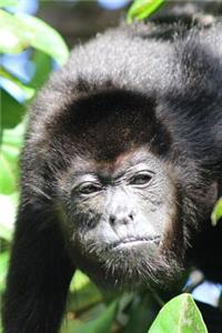 Portrait of a Howler Monkey Journal