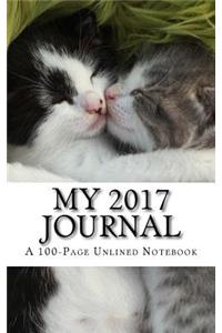 My 2017 Journal