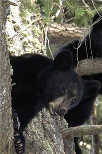 Black Baby Bear Cub Sitting in a Tree Journal