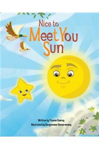Nice to Meet You Sun