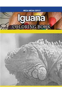 Iguana Coloring Book