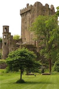 View of Blarney Castle in Ireland Journal
