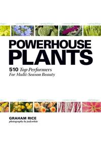 Powerhouse Plants: 510 Top Performers for Multi-Season Beauty