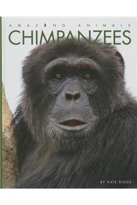 Chimpanzees