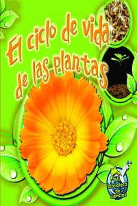 El Ciclo de Vida de Las Plantas