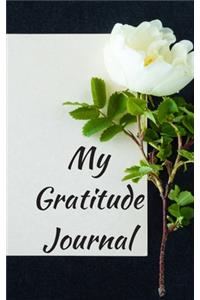 My Gratitude Journal
