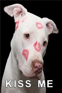 Kiss me Pitbull