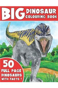 The Big Dinosaur Colouring Book