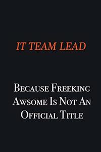 IT team lead because freeking awsome is not an official title