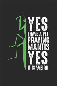 Yes I Have A Pet Praying Mantis Yes It Is Weird