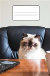 Cat Blank Paper Book - Cat Lovers Unite