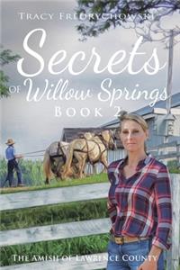 Secrets of Willow Springs - Book 2