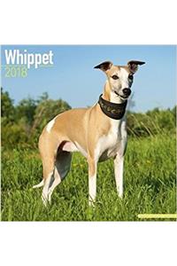 Whippet Calendar 2018