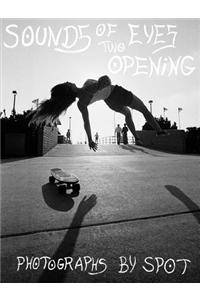 Sounds of Two Eyes Opening: Southern Cali Punk/Surf/Skate Culture 69-82, Photographs by Spot