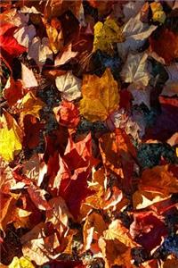 Fall Journal Pretty Autumn Leaves