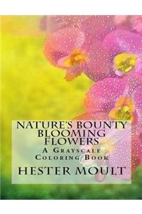 Nature's Bounty - Blooming Flowers