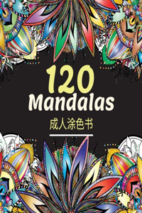 120 Mandalas 成人涂色书