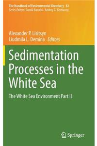 Sedimentation Processes in the White Sea
