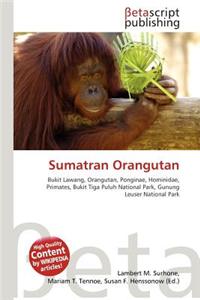 Sumatran Orangutan