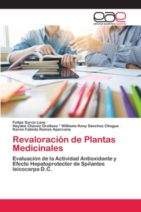 Revaloración de Plantas Medicinales