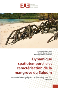 Dynamique spatiotemporelle et caractérisation de la mangrove du Saloum