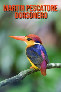 Martin pescatore dorsonero