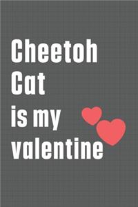 Cheetoh Cat is my valentine