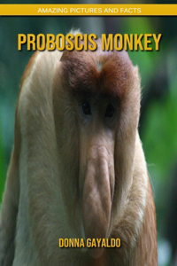 Proboscis Monkey
