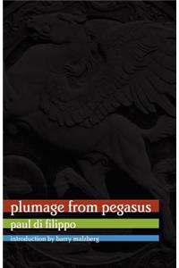 Plumage from Pegasus