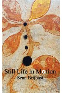 Still Life in Motion