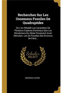 Recherches Sur Les Ossemens Fossiles De Quadrupèdes: Où L'on Rétablit Les Caractères De Plusieurs Espèces D'animaux Que Les Révolutions Du Globe Paroissent Avoir Détruites. Les Os Fossiles Des Environs