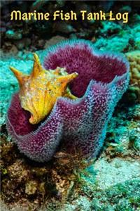Marine Fish Tank Log