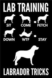 Lab Training - Labrador Tricks