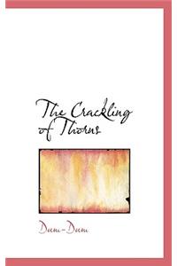 The Crackling of Thorns
