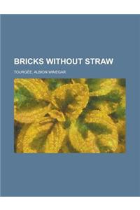 Bricks Without Straw