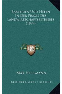 Bakterien Und Hefen In Der Praxis Des Landwirtschaftsbetriebes (1899)