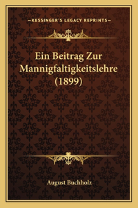 Ein Beitrag Zur Mannigfaltigkeitslehre (1899)