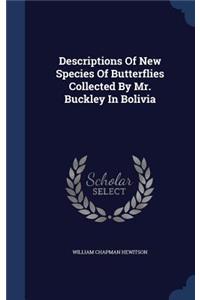 Descriptions Of New Species Of Butterflies Collected By Mr. Buckley In Bolivia